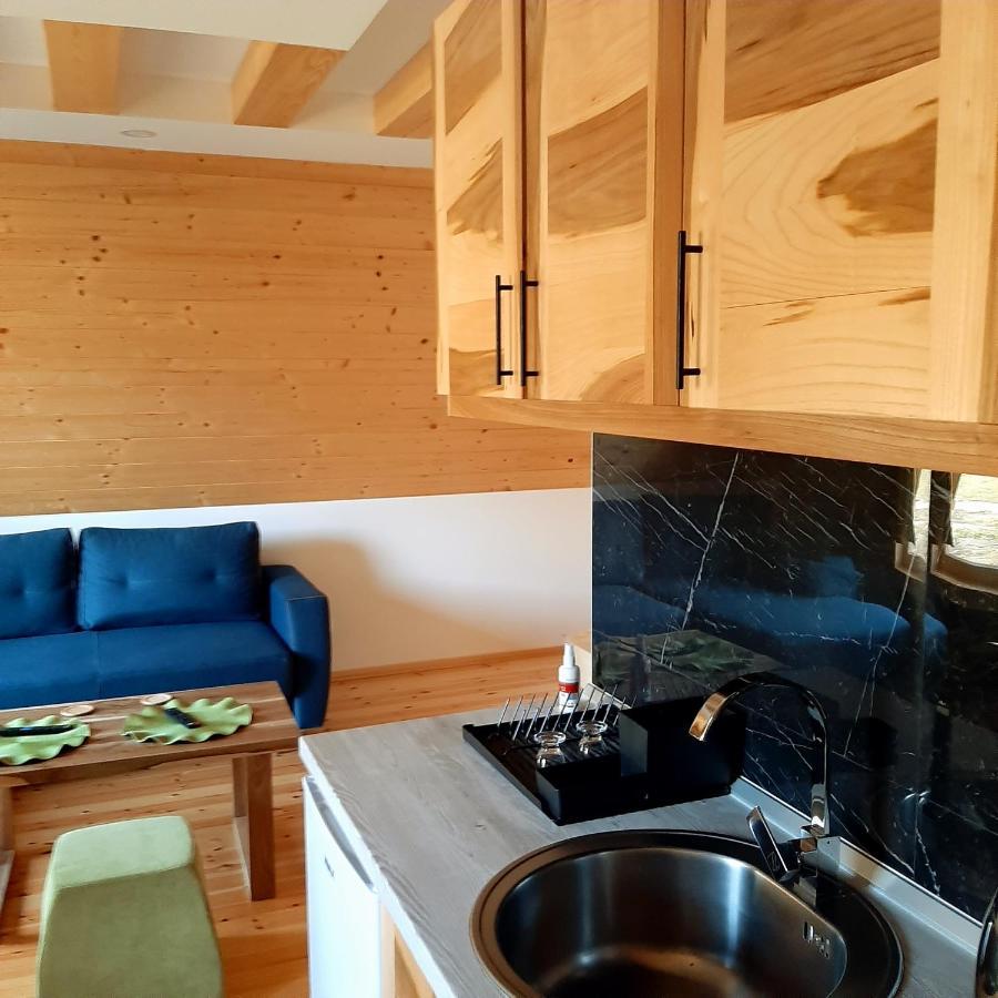 Holiday Home Ella Mokra Gora - Apartman Ella エクステリア 写真